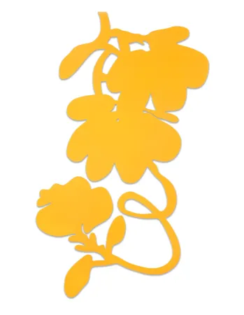 Múltiple Sultan - Lantern Flowers (Yellow)