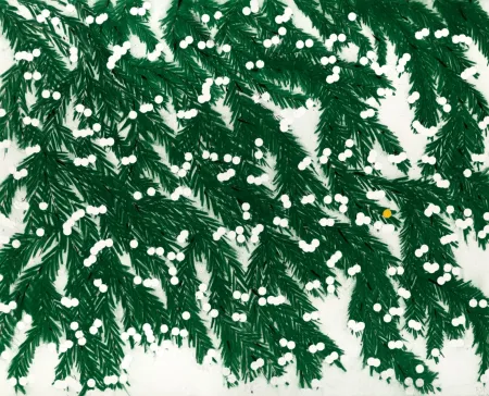 Múltiple Sultan - Mimosa, April 12, 2023