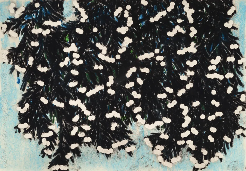 Sin Técnico Sultan - Mimosa with Green