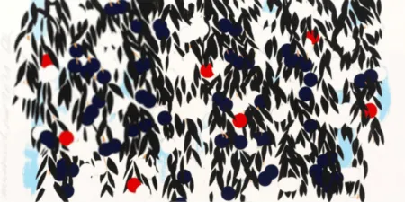 Múltiple Sultan - Mimosa with Red