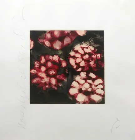 Serigrafía Sultan - ROSES