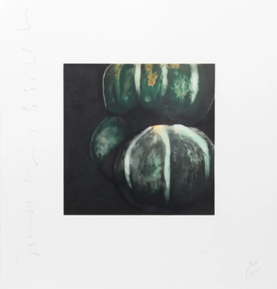 Serigrafía Sultan - Squash