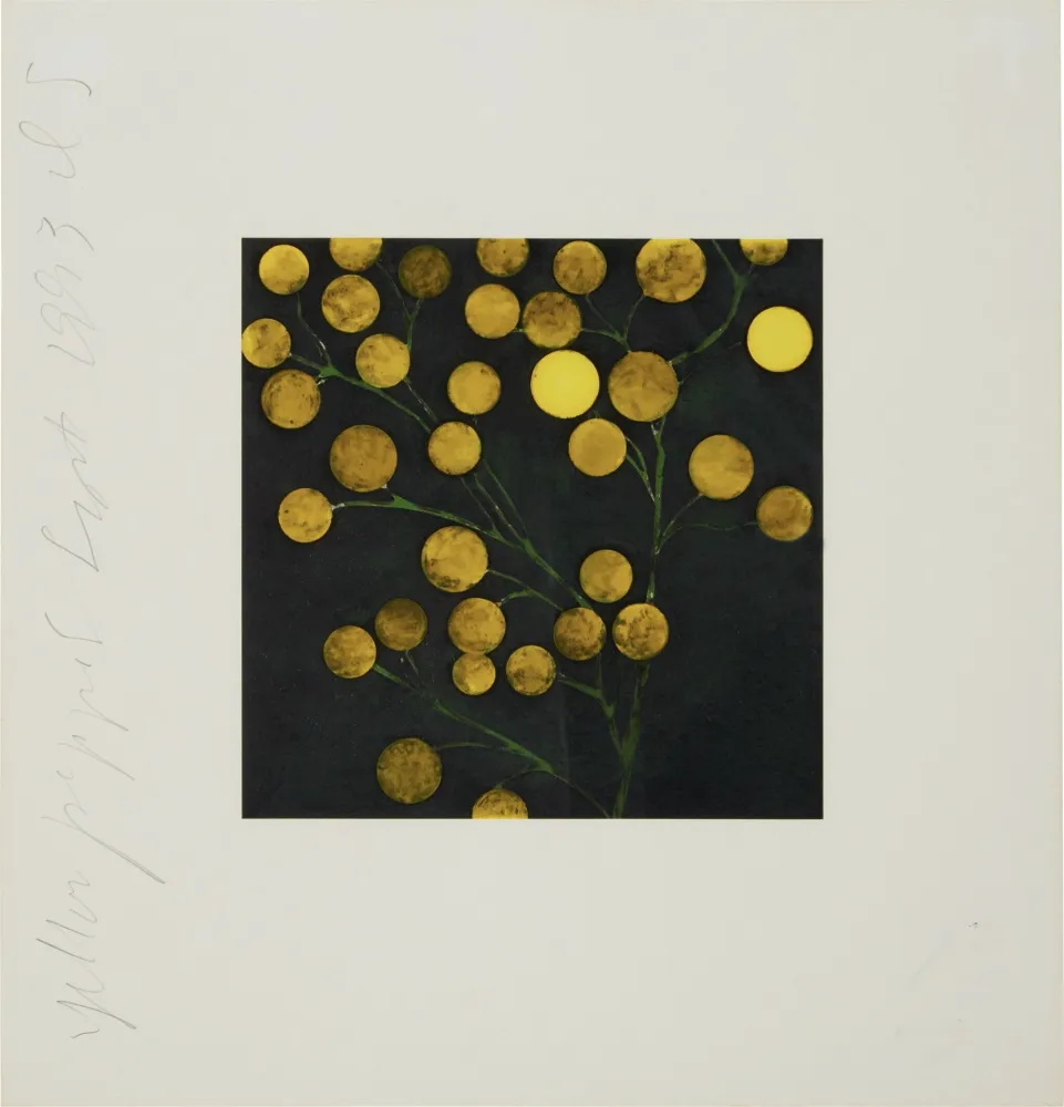 Serigrafía Sultan - Yellow Peppers from Fruits and Flowers