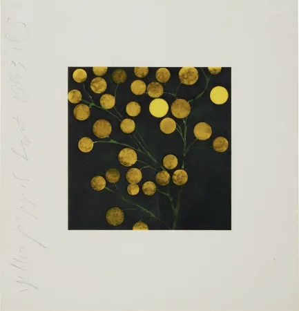 Serigrafía Sultan - Yellow Peppers from Fruits and Flowers