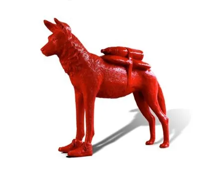 Múltiple Sweetlove - African dog with shoes and water bottles