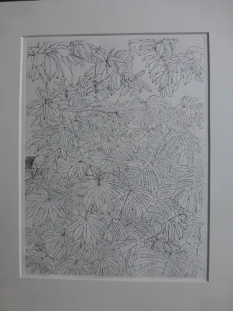 Aguafuerte Szafran - Feuillages ,1977