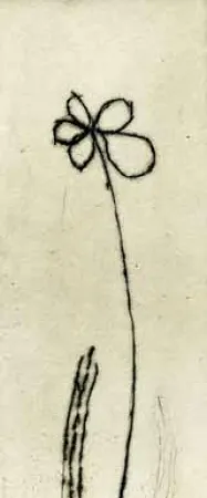 Aguafuerte Tachibana  - TOT 48