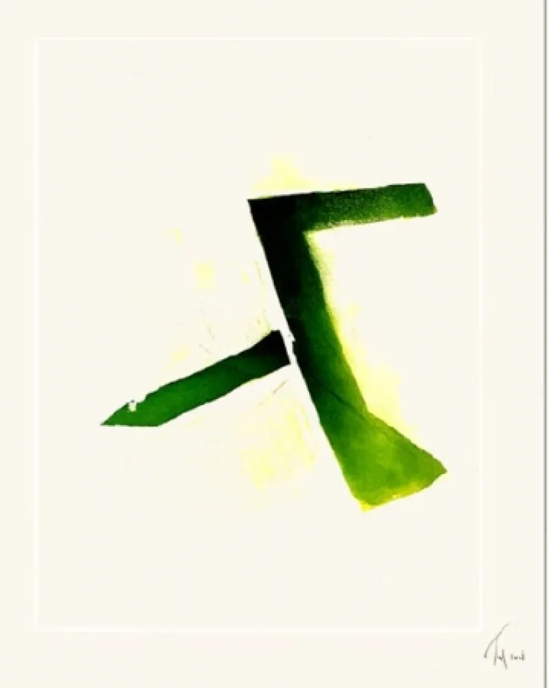 Aguafuerte Y Aguatinta Tal Coat - Acide