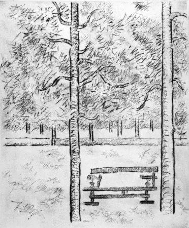 Punta Seca Tamburi - La panchina