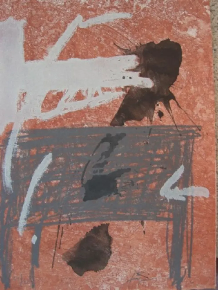 Aguafuerte Tàpies - BOIS DES CERFS (Libro)