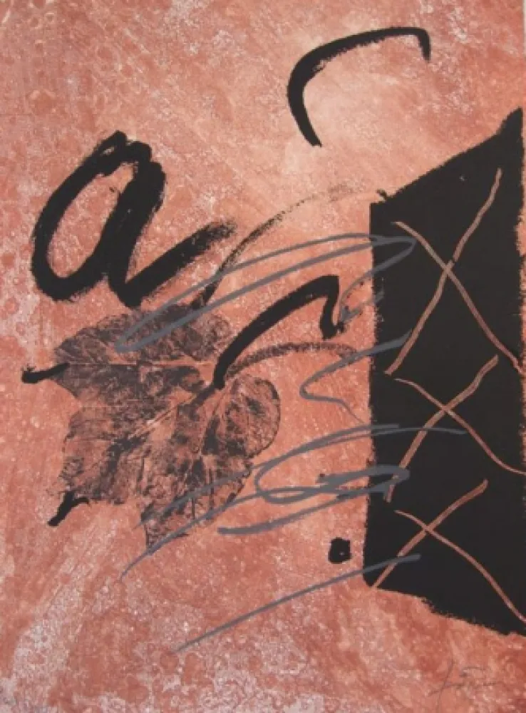 Aguafuerte Tàpies - BOIS DES CERFS (Libro)