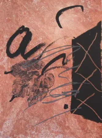 Aguafuerte Tàpies - BOIS DES CERFS (Libro)