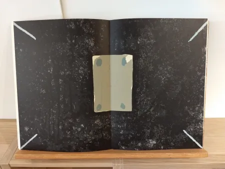 Libro Ilustrado Tàpies - DLM175