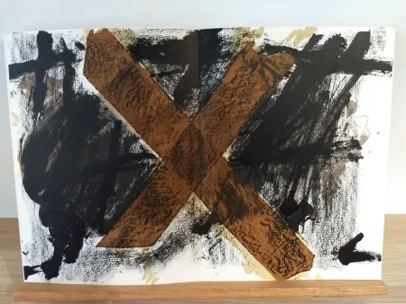 Libro Ilustrado Tàpies - DLM200