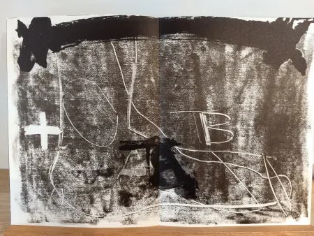 Libro Ilustrado Tàpies - DLM210