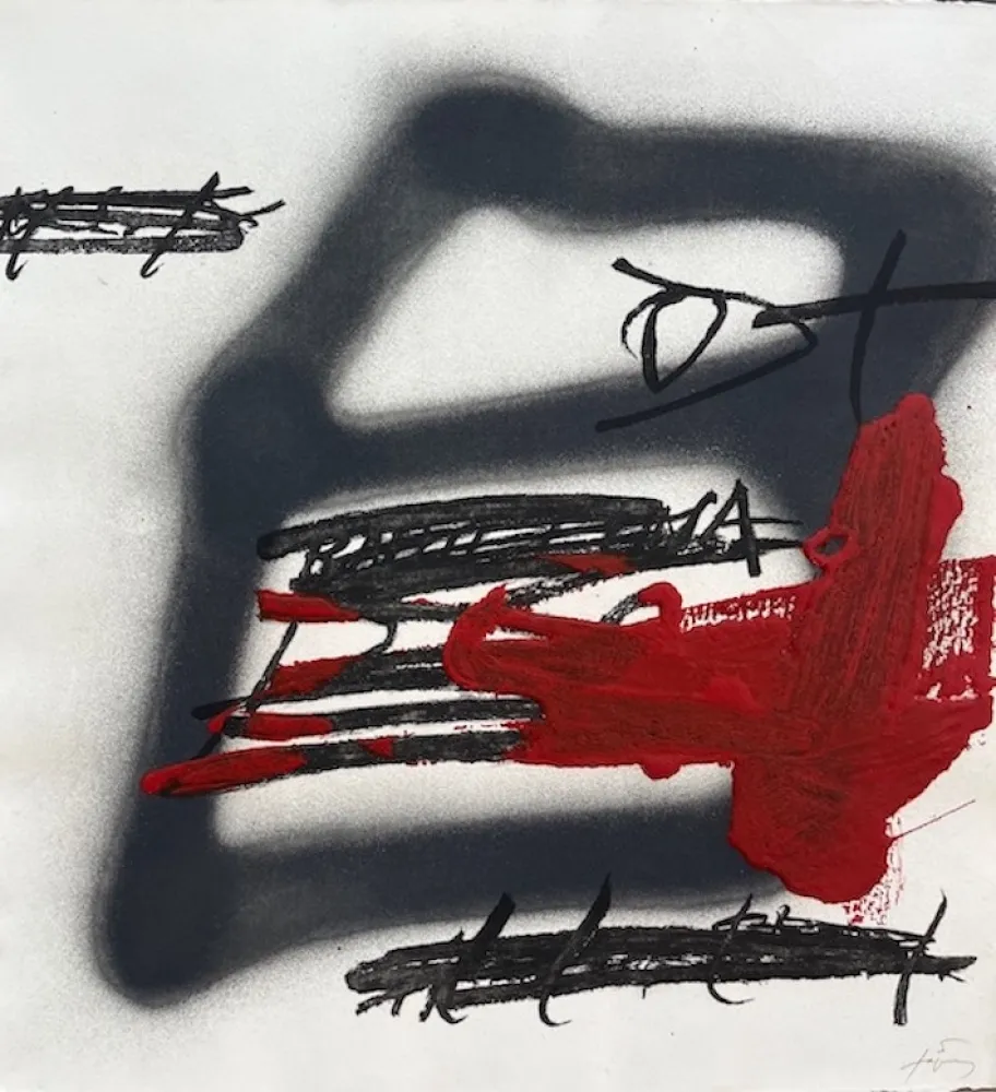 Aguafuerte Y Aguatinta Tàpies - Forma ombrejada