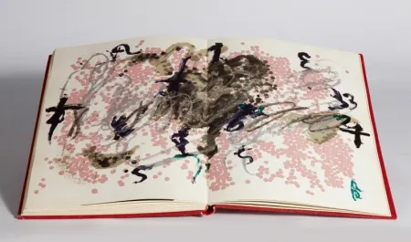 Libro Ilustrado Tàpies - Fregolí 