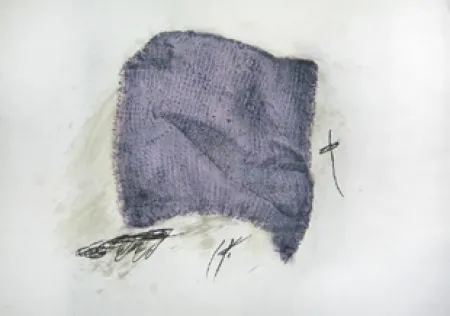 Aguafuerte Y Aguatinta Tàpies - La serpilière