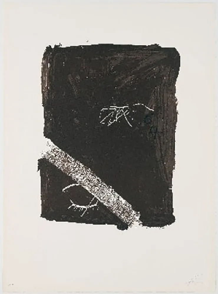 Litografía Tàpies - Llambrec-5