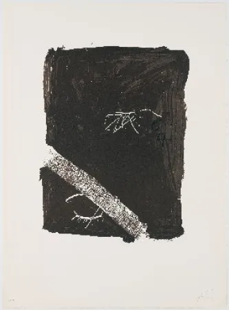 Litografía Tàpies - Llambrec 5