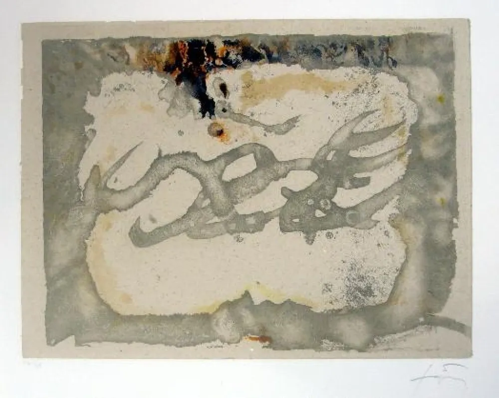 Aguafuerte Y Aguatinta Tàpies - Muntanyes