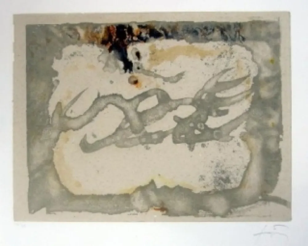 Aguafuerte Y Aguatinta Tàpies - Muntanyes