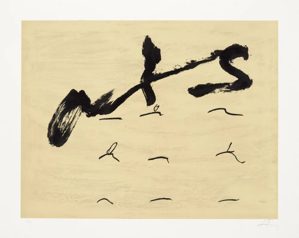 Litografía Tàpies - Neuf tirets