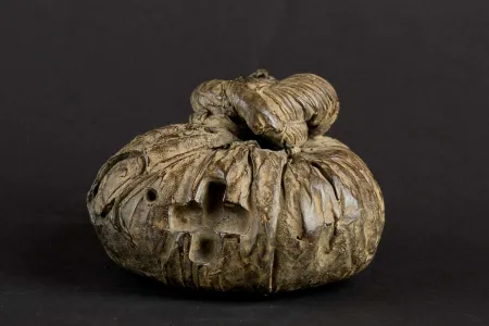 Sin Técnico Tàpies - Nus