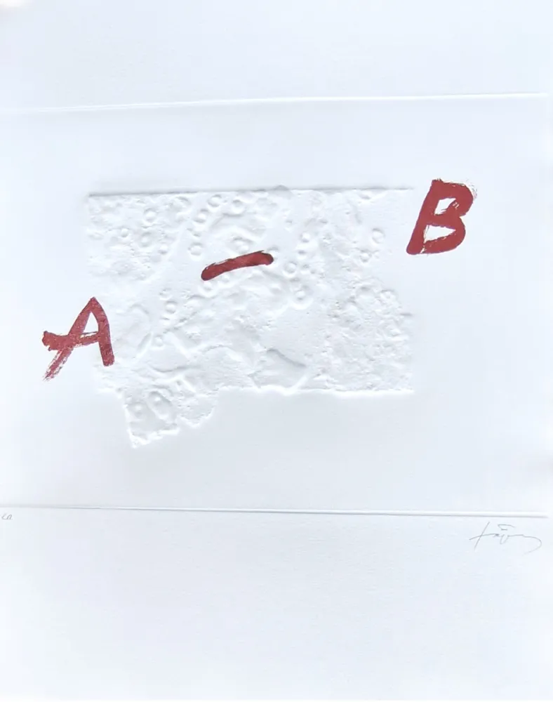 Grabado Tàpies - Plus beau cadeau