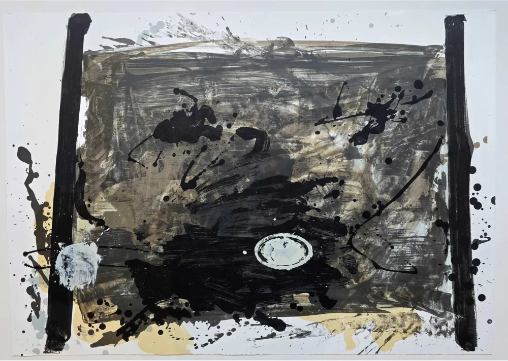 Sin Técnico Tàpies - Suite