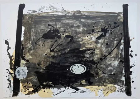 Sin Técnico Tàpies - Suite