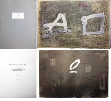 Libro Ilustrado Tàpies - TÀPIES. 