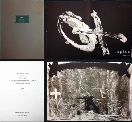 Libro Ilustrado Tàpies - TÀPIES. 