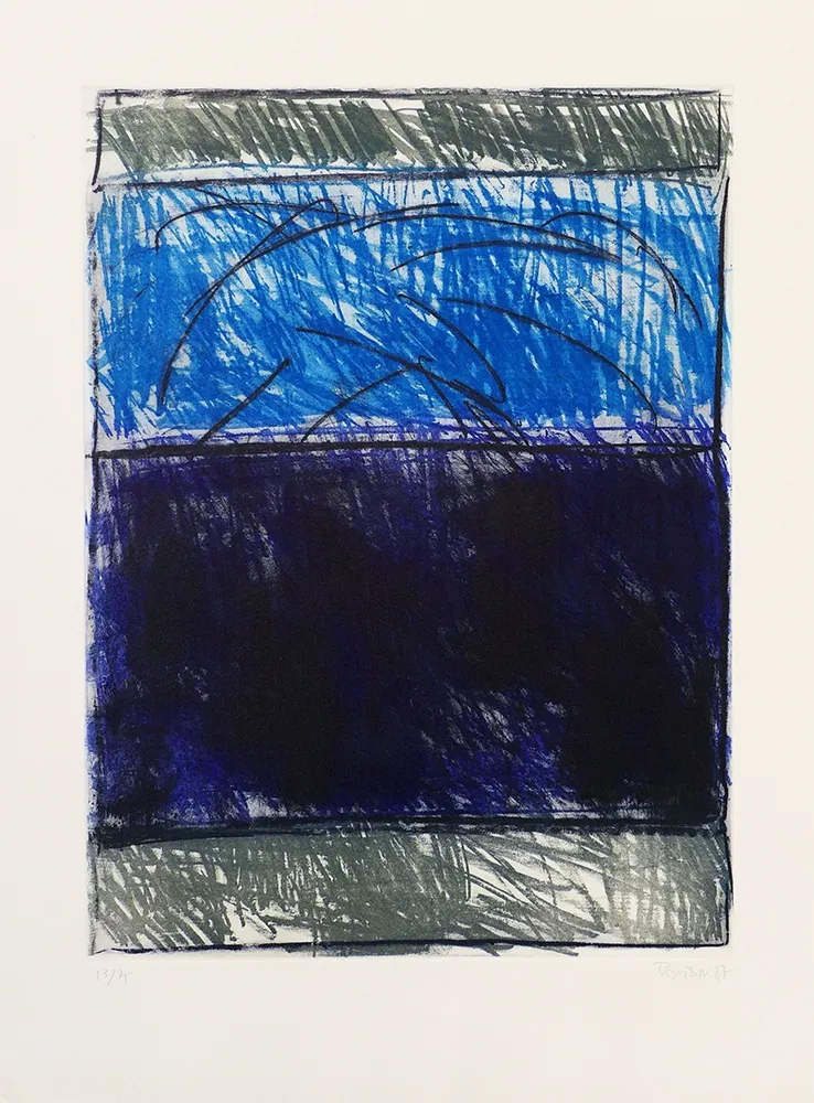 Punta Seca Teixidor - La Noche