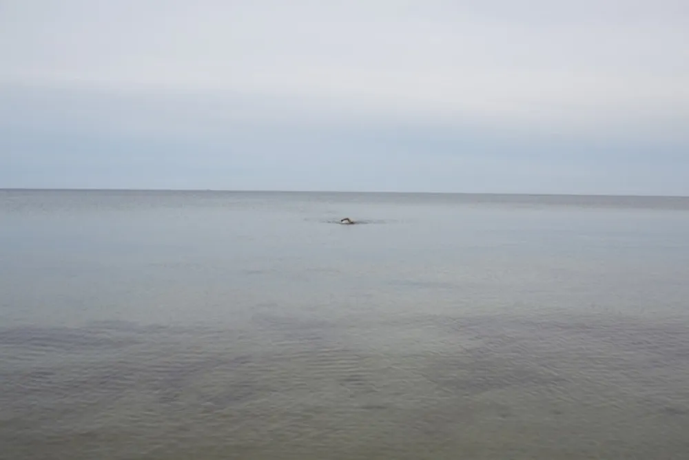 Sin Técnico Teller - Swimming, Glemmingebro, Sweden 2015