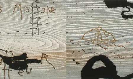 Libro Ilustrado Texier - Ex-voto