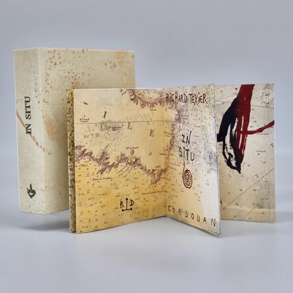 Libro Ilustrado Texier - In situ