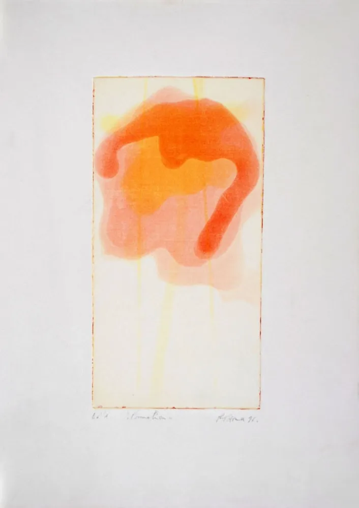 Aguafuerte Y Aguatinta Thoma - Formation