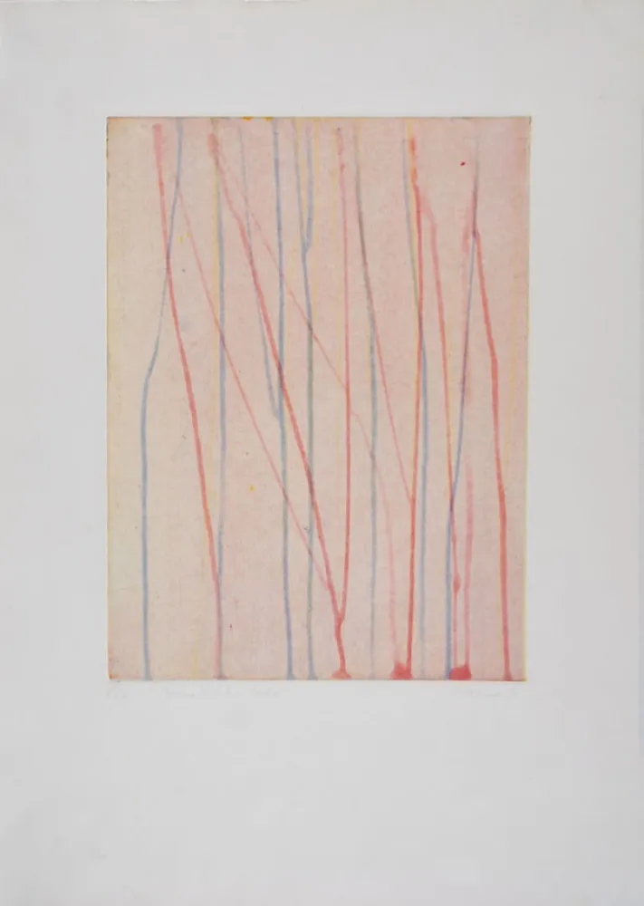 Aguafuerte Y Aguatinta Thoma - 