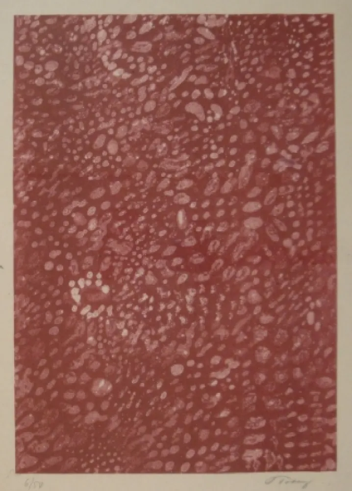 Litografía Tobey - Komposition.