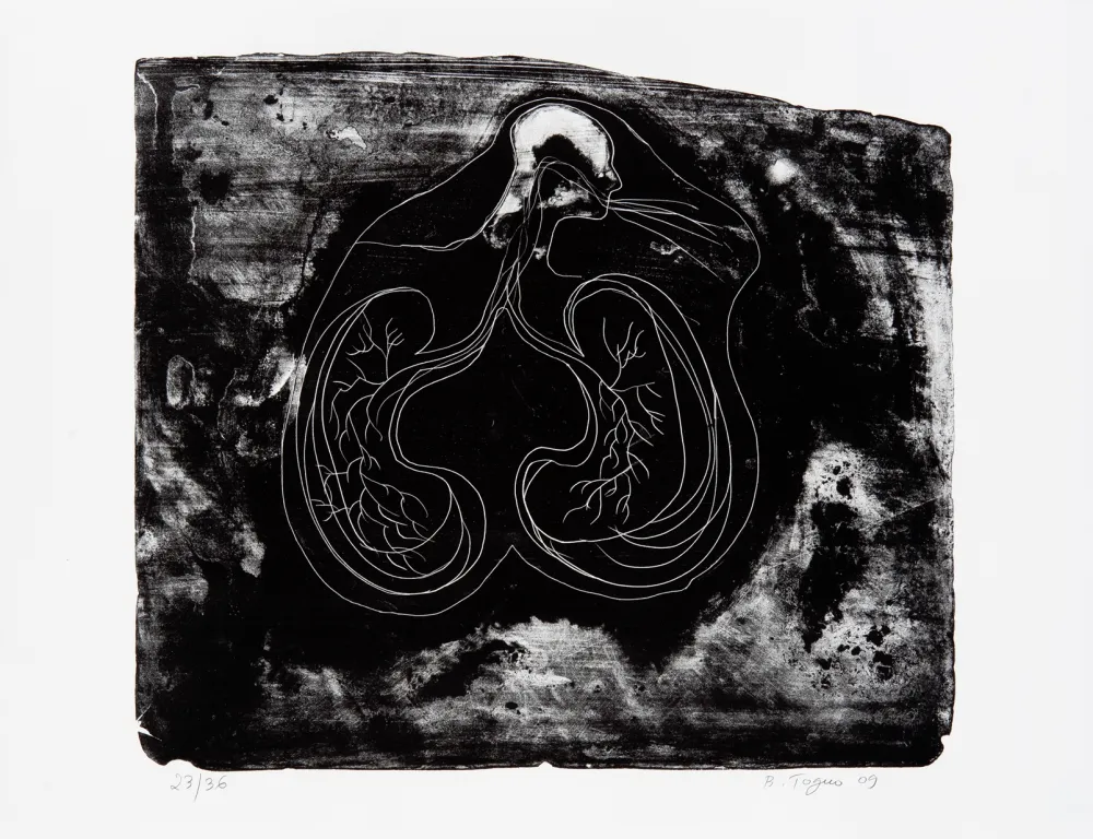 Litografía Toguo - Reasons to love