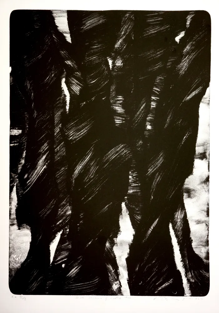 Litografía Tøjner - Dark shadows of central park