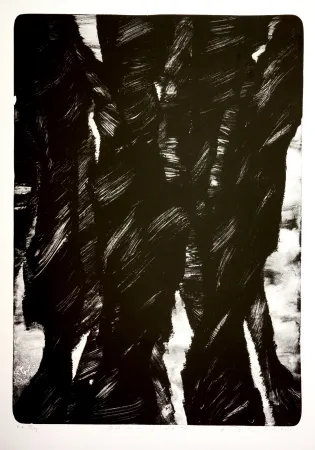 Litografía Tøjner - Dark shadows of central park