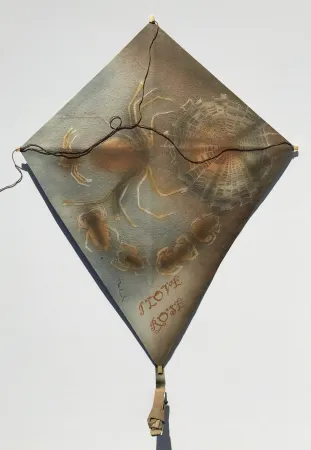 Sin Técnico Toledo - Spiders with Web Kite