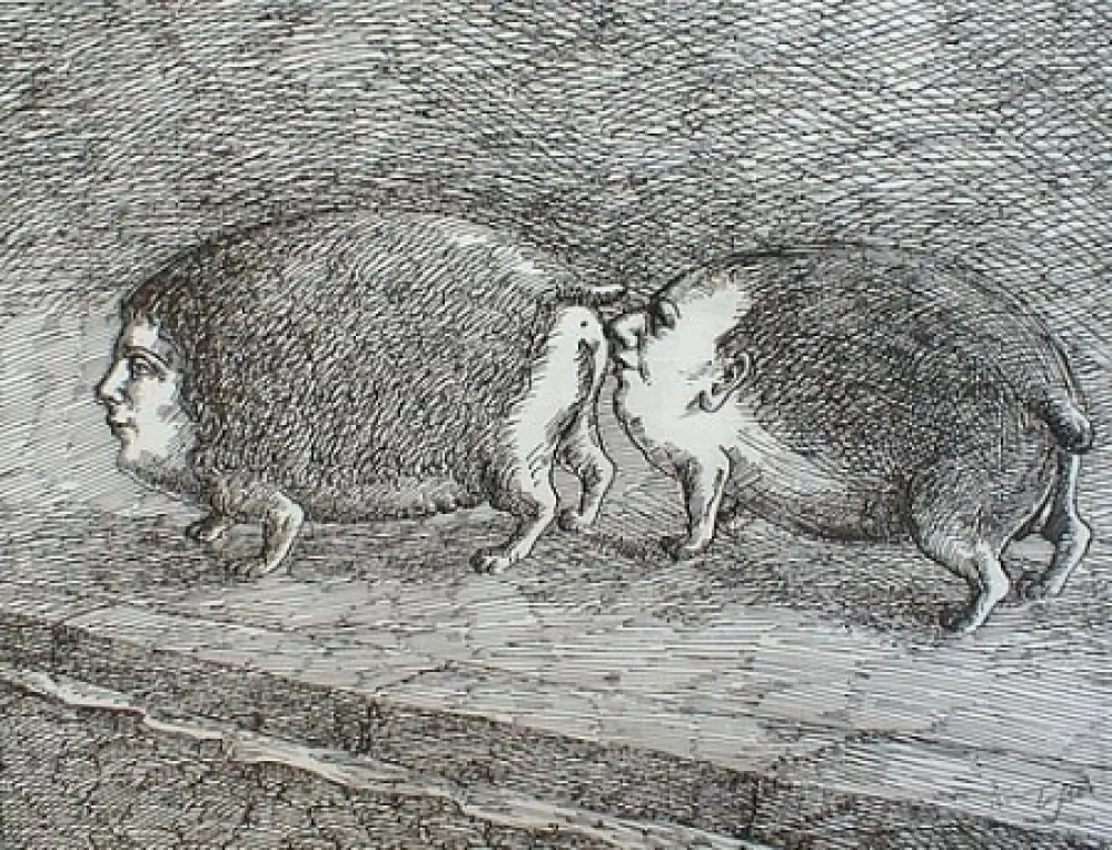 Grabado Topor - Senza titolo