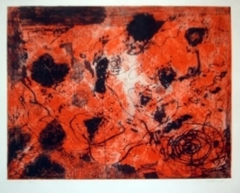 Carborundo Torralba - Omega