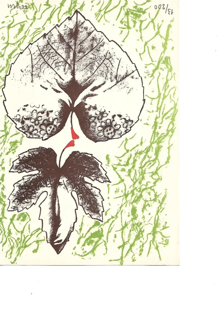 Litografía Toyen -  Krabicka prvni pomoci - Boîte alerte (1959)