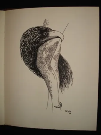 Libro Ilustrado Toyen - Le puits dans la tour / TOYEN. Débris de rêves