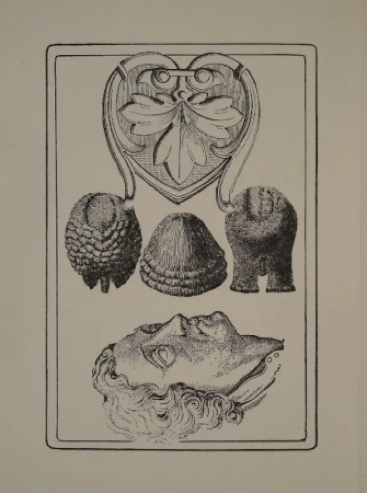 Libro Ilustrado Toyen - Le Roi Gordogane