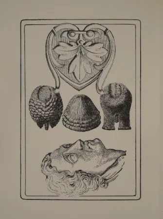 Libro Ilustrado Toyen - Le Roi Gordogane